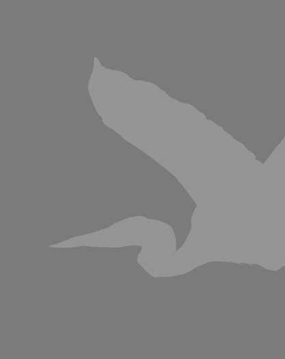 Futures Event 2025 Supercharge your career!