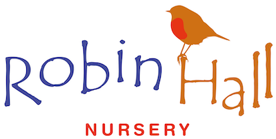 Central Safeguarding Xmas cover